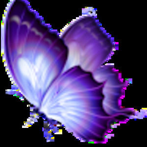 Meet your Posher, Selena